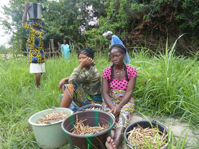 Members of a local women’s group rest after harvesting cowpeas grown during the dry season.