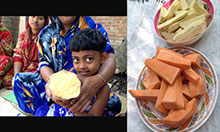 One NRVCC studied in Bangladesh was the orange-flesh sweet potato, which were introduced as a nutritious food source by a Feed the Future project.