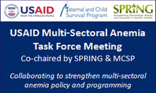 Slide from a meeting of the USAID Multi-Sectoral Anemia Task Force