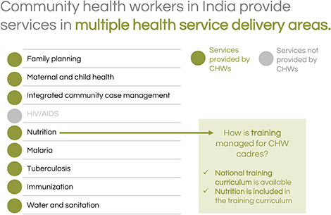 Community health workers in India provide services in multiple health service delivery areas.