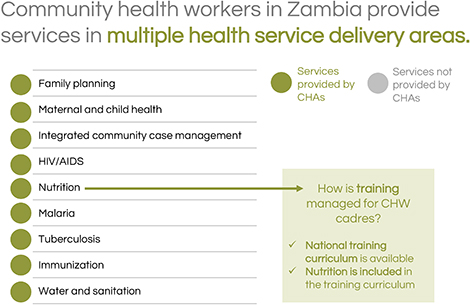 Community health workers in Zambia provide services in multiple health service delivery areas.