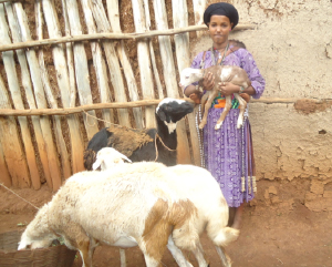 Photo of a woman holding and standing with livestock.