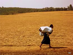 Photo of a person carrying something through a large desolate field.
