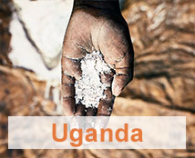 A hand contains flour in Uganda.
