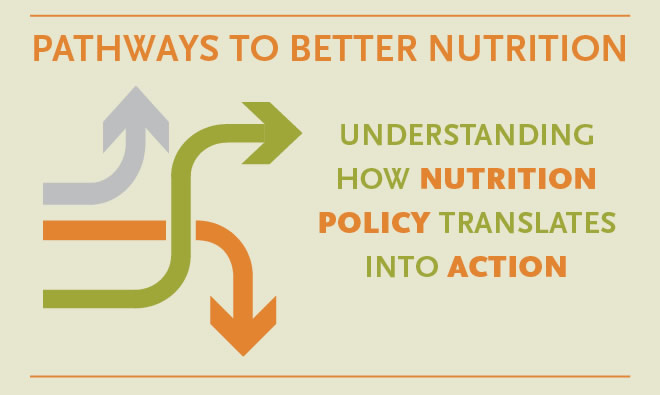 SPRING's Pathways to Better Nutrition: understanding how nutrition policy translates into action