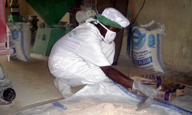 Mixing fortificant with maize flour.
