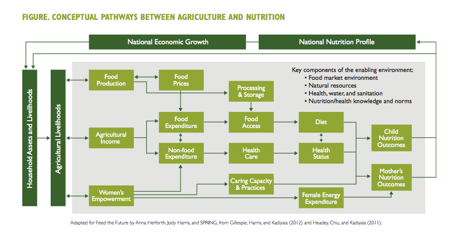 Figure. Conceptual Pathways Between Agriculture and Nutrition