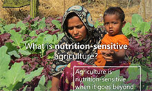 A woman crouches in her vegetable garden and holds her toddler son. She is focused on the plants while he is focused on the camera. The text overlay says: What is nutrition-sensitive agriculture? Agriculture is nutrition-sensitive when it goes beyond food production to address underlying causes of malnutrition.