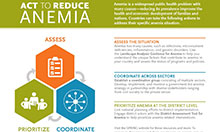 Anemia infographic. Images: graphics representing the 3 stages - assess, prioritize, coordinate. Title: Act to Reduce Anemia, Summary: Anemia is a widespread public health problem with many causes—reducing its prevalence improves the health and economic development of families and nations. Countries can take the following actions to address their specific anemia situation. Text: ASSESS THE SITUATION Anemia has many causes, such as infections, micronutrient deficiencies, inflammation, and genetic disorders. 