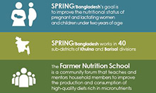 SPRING/Bangladesh Infographic