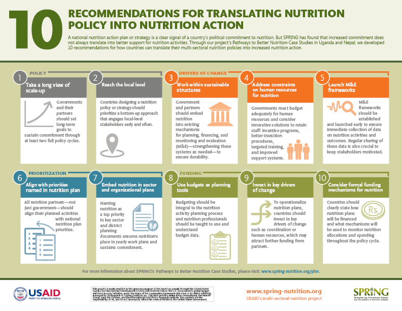 Recommendations include: 1. Take Long View of Scale Up, 2. Reach the Lowest Level, 3. Build Sustainable Structures, 4. Add Human Resources for Nutrition, 5. Launch M&E Frameworks, 6. Align with NNAP, 7. Embed Nutrition in Sector & Organizational Plans, 8. Use Budgets as Planning Tools, 9. Invest in Key Drivers of Change, 10. Consider Formal Funding Mechanisms for Nutrition.