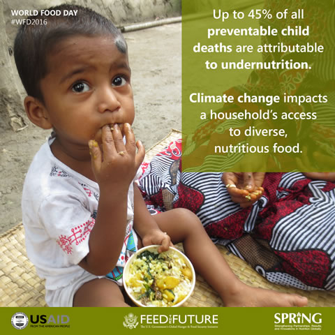 World Food Day 2016 Facts - Undernutrition
