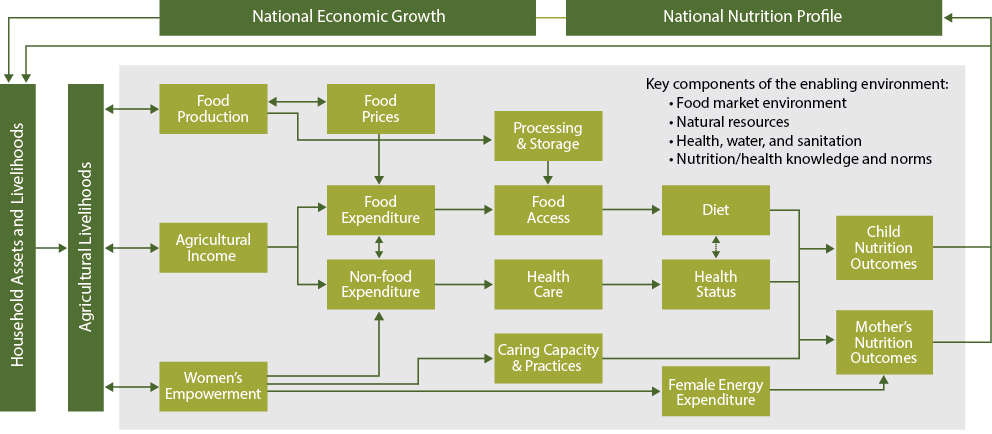 Flow chart for National Economic Growth, which has inputs into household Assets and Livelihoods which contribute to Agricultural Livelihoods which are components of Food production, agricultural income and women's empowerment. Food production influences food prices and processing and storage. Agricultural income influences food expenditure, food access, diet and child and mother's nutrition outcomes which feeds into the national nutritional profile. Agricultural income also influences non-food expenditure, health care and health status which also affects child and mother's nutrition outcomes which feeds into the national nutritional profile. Women's empowerment affects caring capacity & practices, female endergy expenditure and mother's nutrition outcomes. Key components of the enabling environment are: food market environment; natural resources; health, water, and sanitation; nutrition/health knowledge and norms.