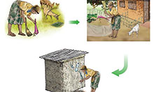 A graphic representation of a woman cleaning a yard of animal feces, disposing of the feces responsibly, and washing her hands with a tippy tap.