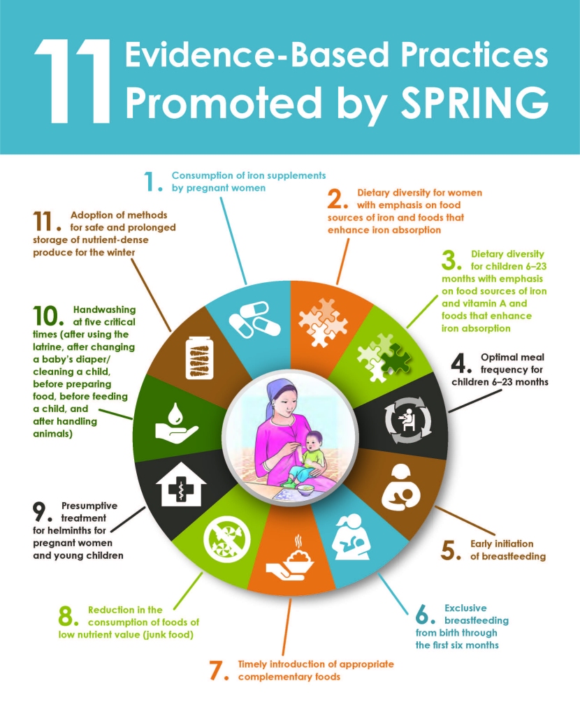 Circular diagram showing 11 Evidence-based practices promoted by SPRING - View PDF for full text.