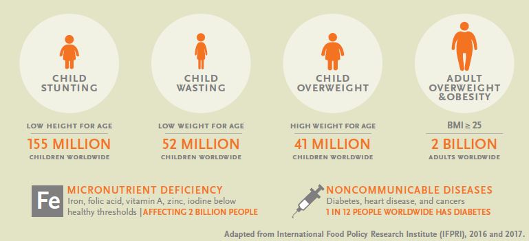  Global Scope of Malnutrition, See PDF for full text