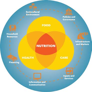  Venn diagram showing health, food, and care interrsecting at nutrition. 