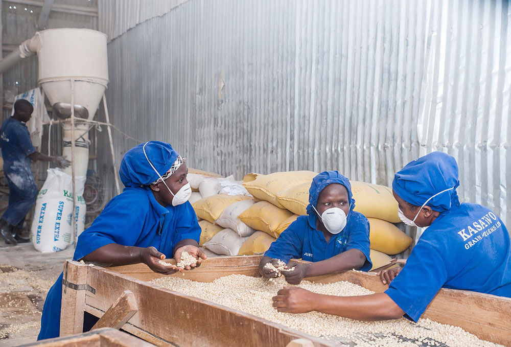 Millers removing debris from the maize grain at a small-scale milling plant.