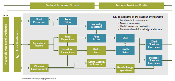 Understanding The Food Production Pathway SPRING