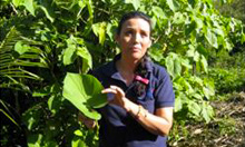 Photo of a boy holding a large leaf, ACCESO nutrition education