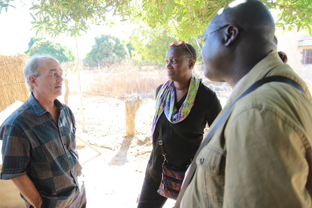 SPRING/Senegal Chief of Party- Bob de Wolfe, SPRING Director of Country Initiatives- Altrena Mukuria, and SPRING/Senegal Agriculture Advisor- Aliou Babou discuss next steps for the chicken-raising activity. 