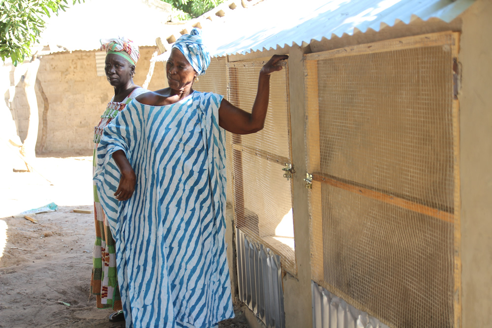 A leader of the local women’s group stands proudly next to newly constructed chicken coop.