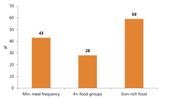 Figure 8. Selected Complementary Feeding Indicators among Children 6–23 Months, 2014