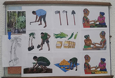 Image of a number of different illustrations depicting people, plants, and farming.
