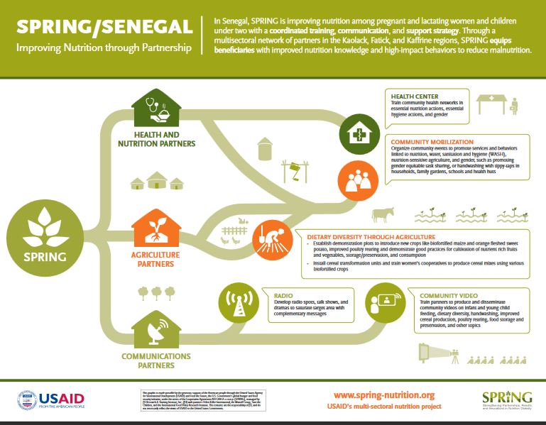 Figure 1. SPRING/Senegal Life of Project Infographic