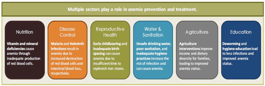  Outlining the multiple sectors that play a role in anemia prevention and treatment. See PDF for full alternate text. 