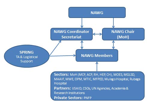  National Anemia Working Group Coordination Structure. 