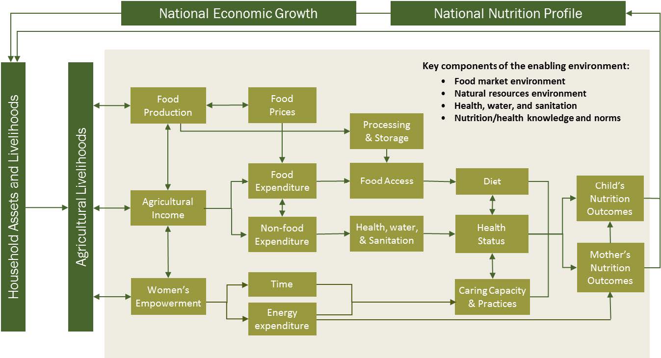 Figure 1. Conceptual Pathways Between Agriculture and Nutrition. This chart shows how 