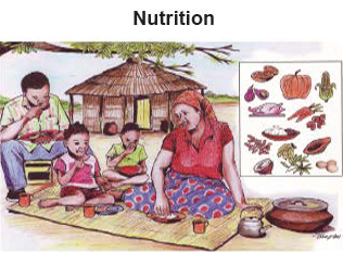 Illustration of a family eating outdoors under Nutrition header