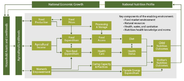Figure 9. Conceptual Pathways between Agriculture and Nutrition