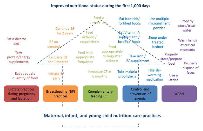Figure 1. Evidence-Based MIYCN Practices for Improving Nutritional Status