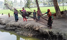 Farmer nutrition school participants practice throwing a net into the fish pond in Babuganj. The fish they catch will provide critical nutrients to their families. Photo: SPRING/Bangladesh