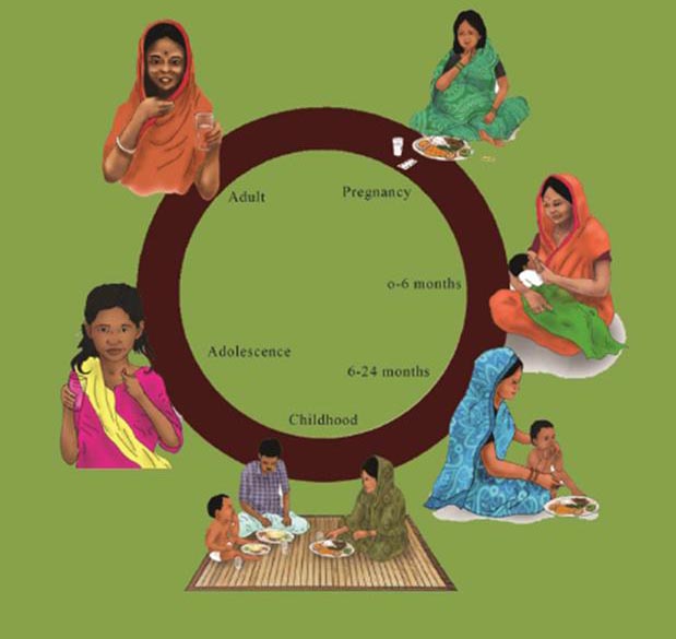 A circle with illustrations of women with her child at various stages. Pregnancy. With a baby of 0-6 months. With a toddler of 6-24 months. Childhood. Adolescense. Adult.