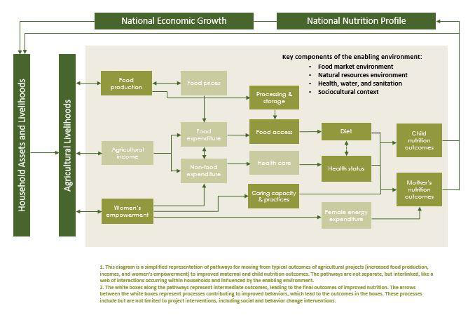  food market environment; natural resources environment; health, water and sanitation; and sociocultural context. 
1. This diagram is a simplified representation of pathways for moving from typical outcomes of agricultural projects (increased food production, incomes, and women's empowerment) to improved maternal and child nurition outcomes. The pathwasys are not separate, but interlinked, like a web of interactions occurring within households and influenced by the enabling environment.
2. The white boxes along the pathways represent intermediate outcomes, leading to the final outcomes of improved nutrition. The arrows etween the white boxes rpresent processes contributing to improved behaviours, which lead to the outcomes in the boxes. These processes include but are not limited to project interventions, including social and behavior change interventions.