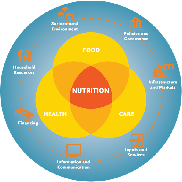 Figure 1. The SPRING Framework for Applying Systems Thinking to Nutrition