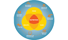 Figure 1. The SPRING Framework for Applying Systems Thinking to Nutrition