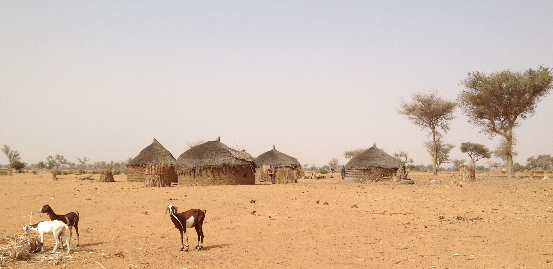 From Pilot to Practice: Community Video in the Sahel | SPRING