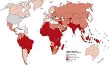Image of map depicting prevalence of anemia in preschool-age children around the world. 
