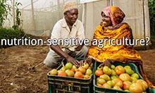Screenshot image of the nutrition sensitive agriculture page asking "what is nutrition sensitive agriculture?"