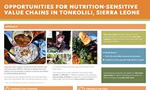 Opportunities for Nutrition-Sensitive Value Chains in Tonkolili, Sierra Leone
