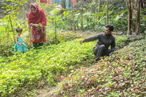 Photo of Mohammad, his wife and a child working in their garden