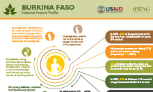 Burkina Faso anemia profile