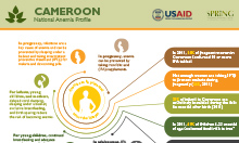 Cameroon anemia profile