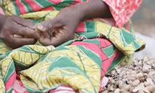 A woman's hands and legs as she sits and shells groundnuts. There is a pile of groundnuts next to her.