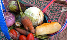 a basket of local foods including several root vegetables, tomatoes, and cabbage
