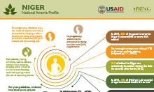 Niger anemia profile